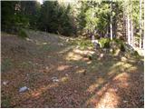 Planica (Planinšek) - Planina Podvežak